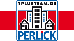 1plus Team Logo